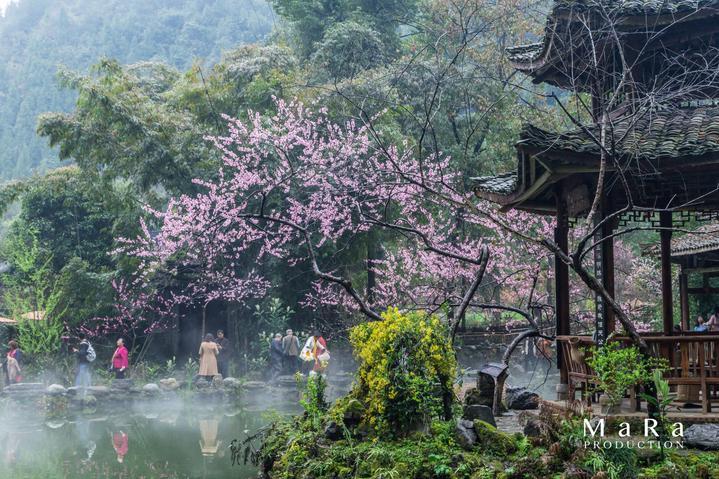 腌菜是癌症“带路人”，一口不能吃？记住3项规定就没事